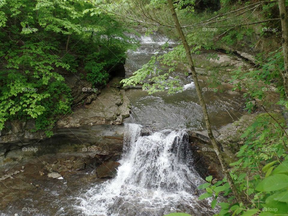 McCormick's Creek State Park