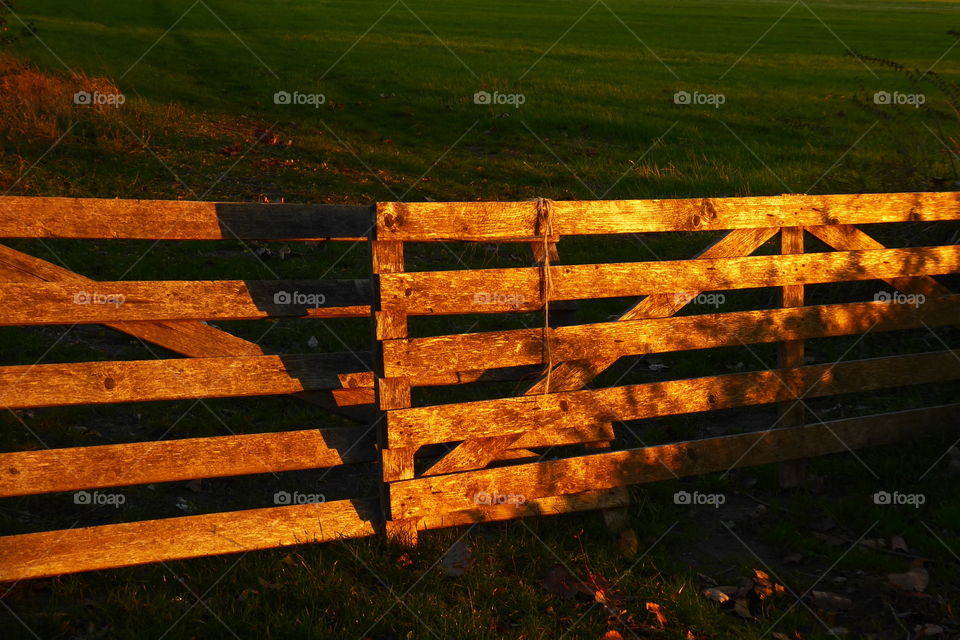 golden fence 