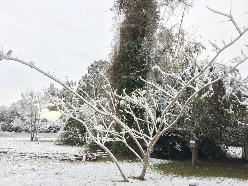 It actually snowed in Texas!