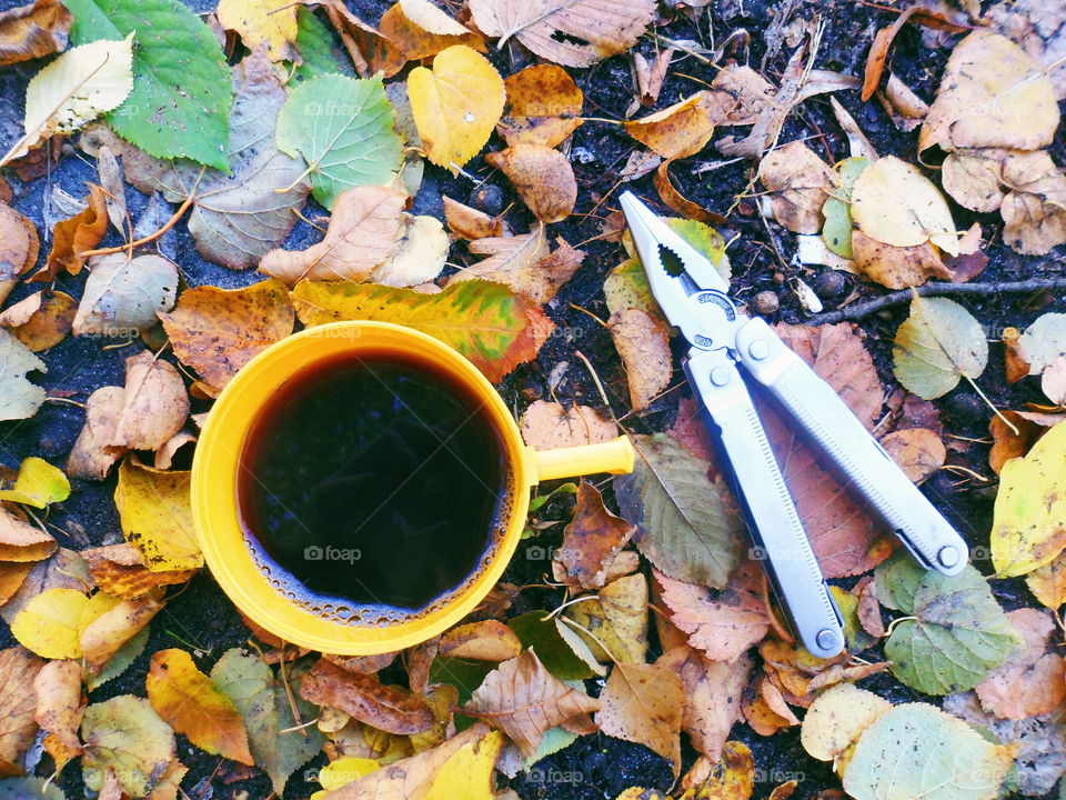 a cup of black tea on autumn leaves