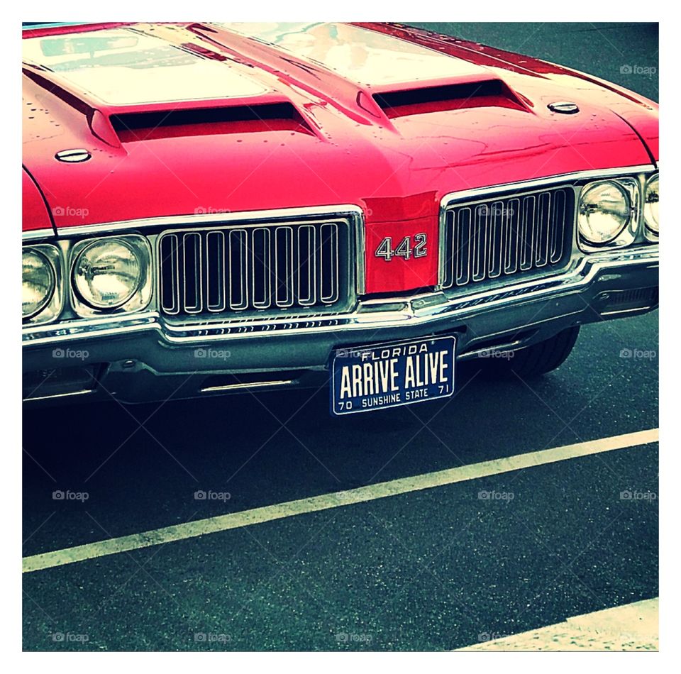 Cool cars & personalized plates