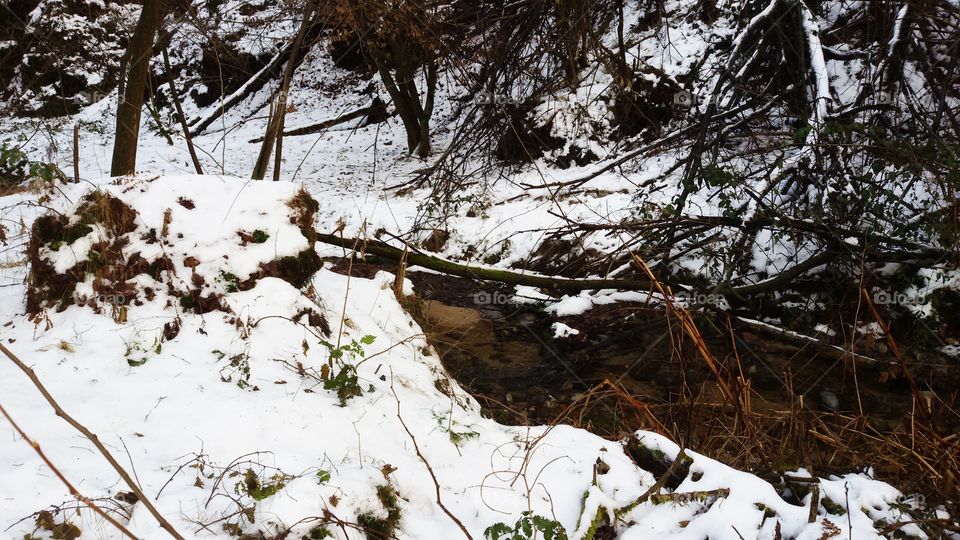 Small river in the snow