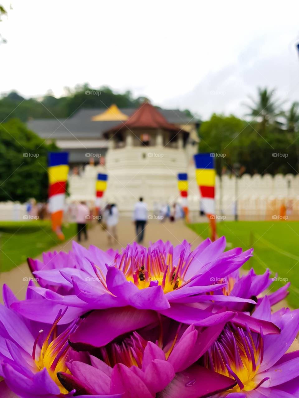 dalada  maligawa kandy in srilanka 🙏🙏🙏🙏🙏🙏