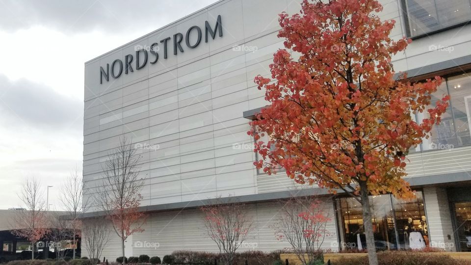 Nordstrom Autumn Shopping