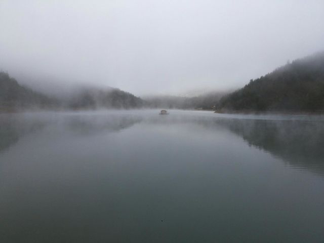 house in the fog