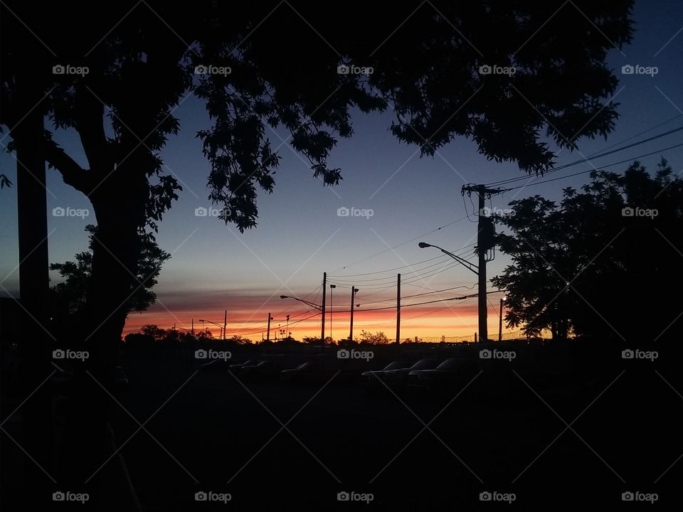 Silhouette, Sunset, Landscape, Tree, Dawn