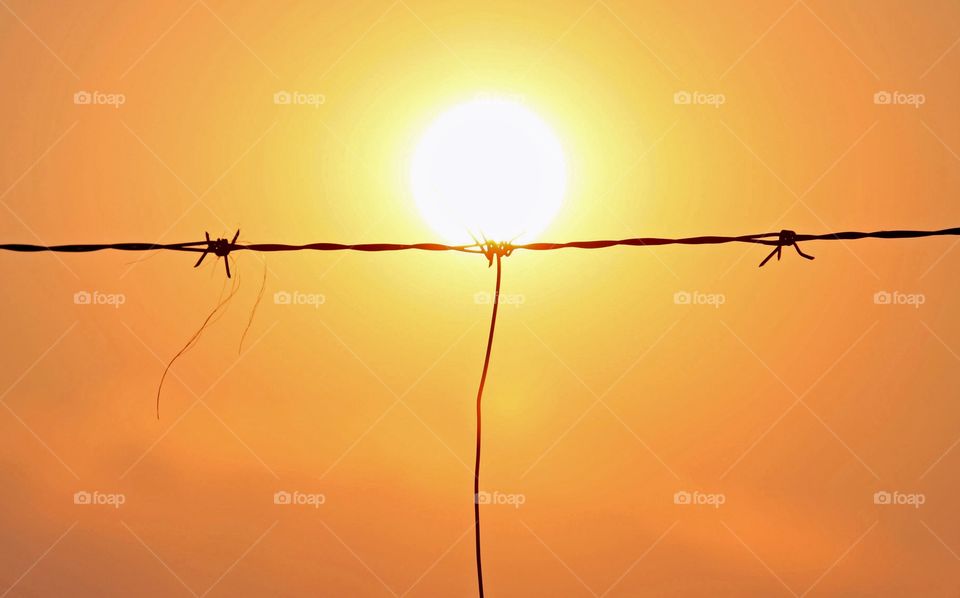 Sundown and a barbed wire fence