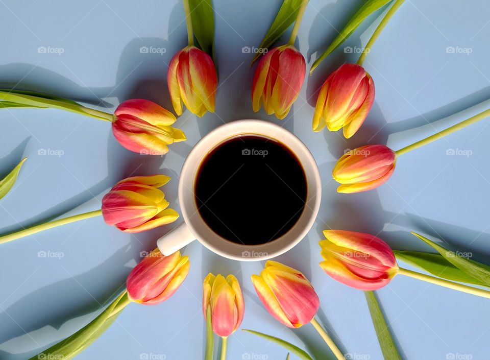 Top view of flowers and black coffee against blue background close up