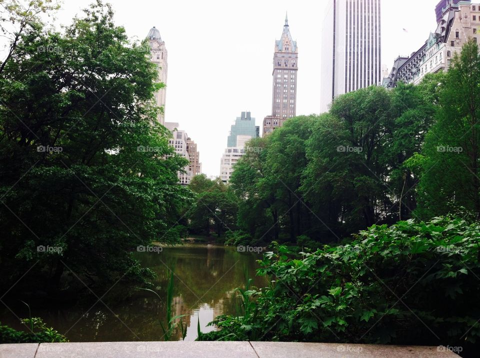 Overlooking the pond to the cityscape 