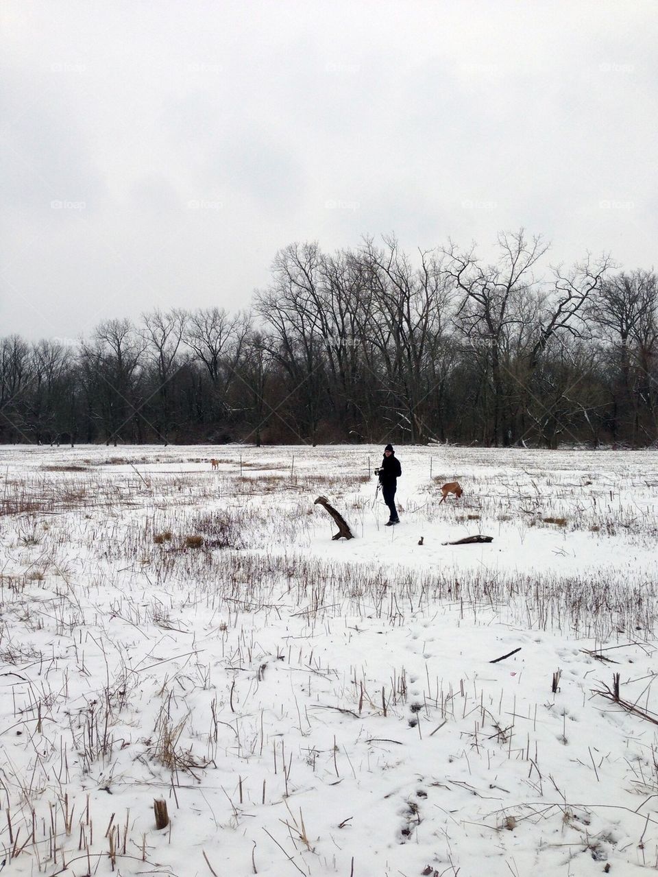 Snow Field