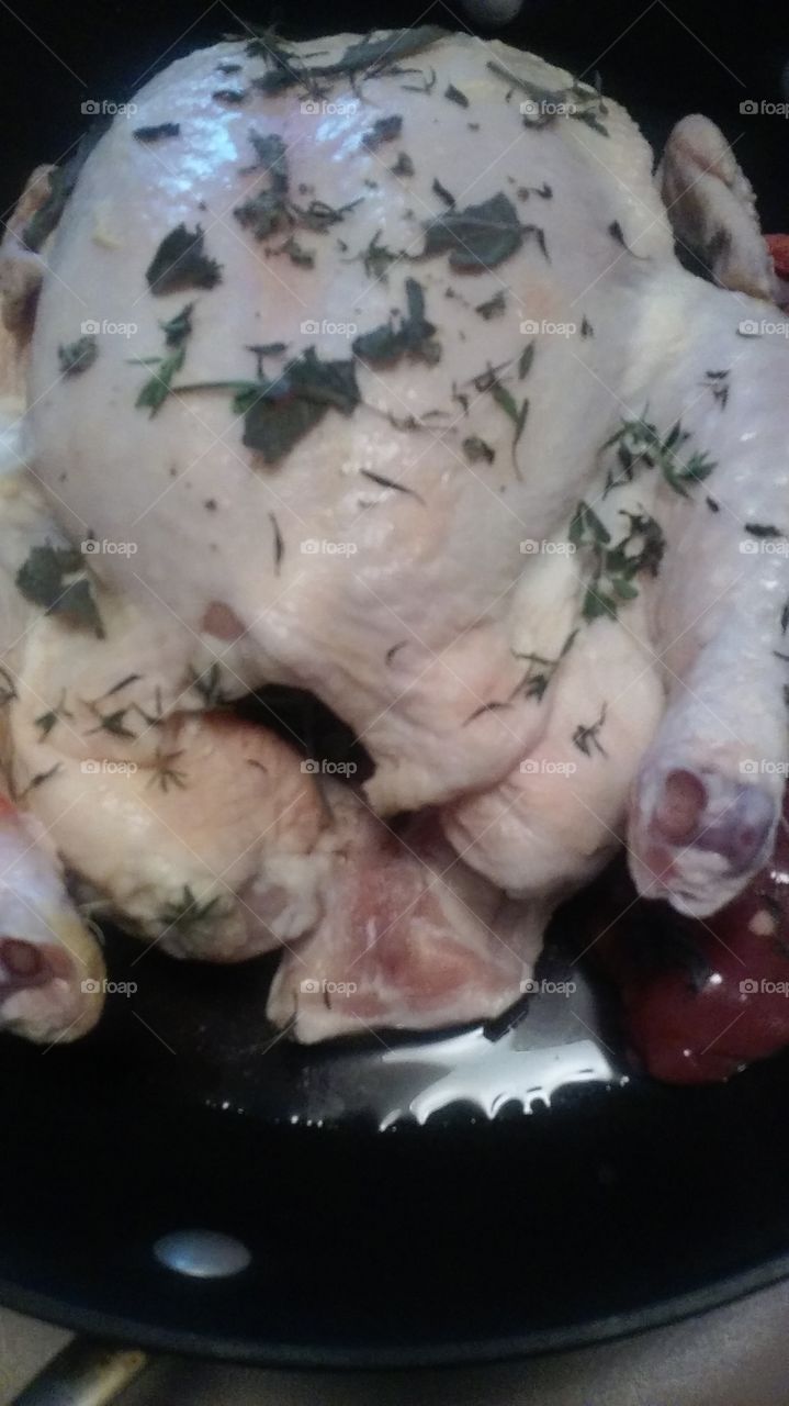 Chicken Ready to Be Cooked (up close)