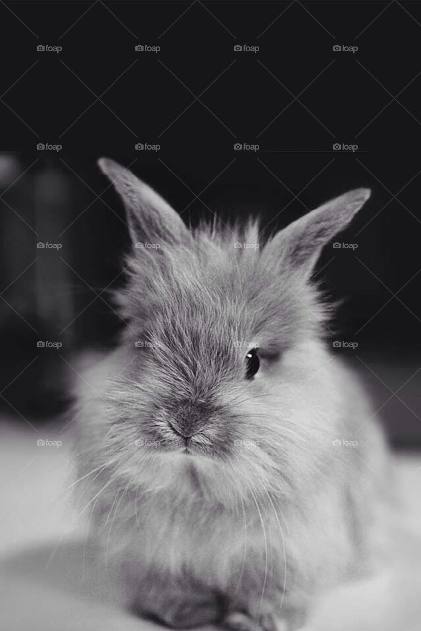 Humam.alhealy@yahoo.com