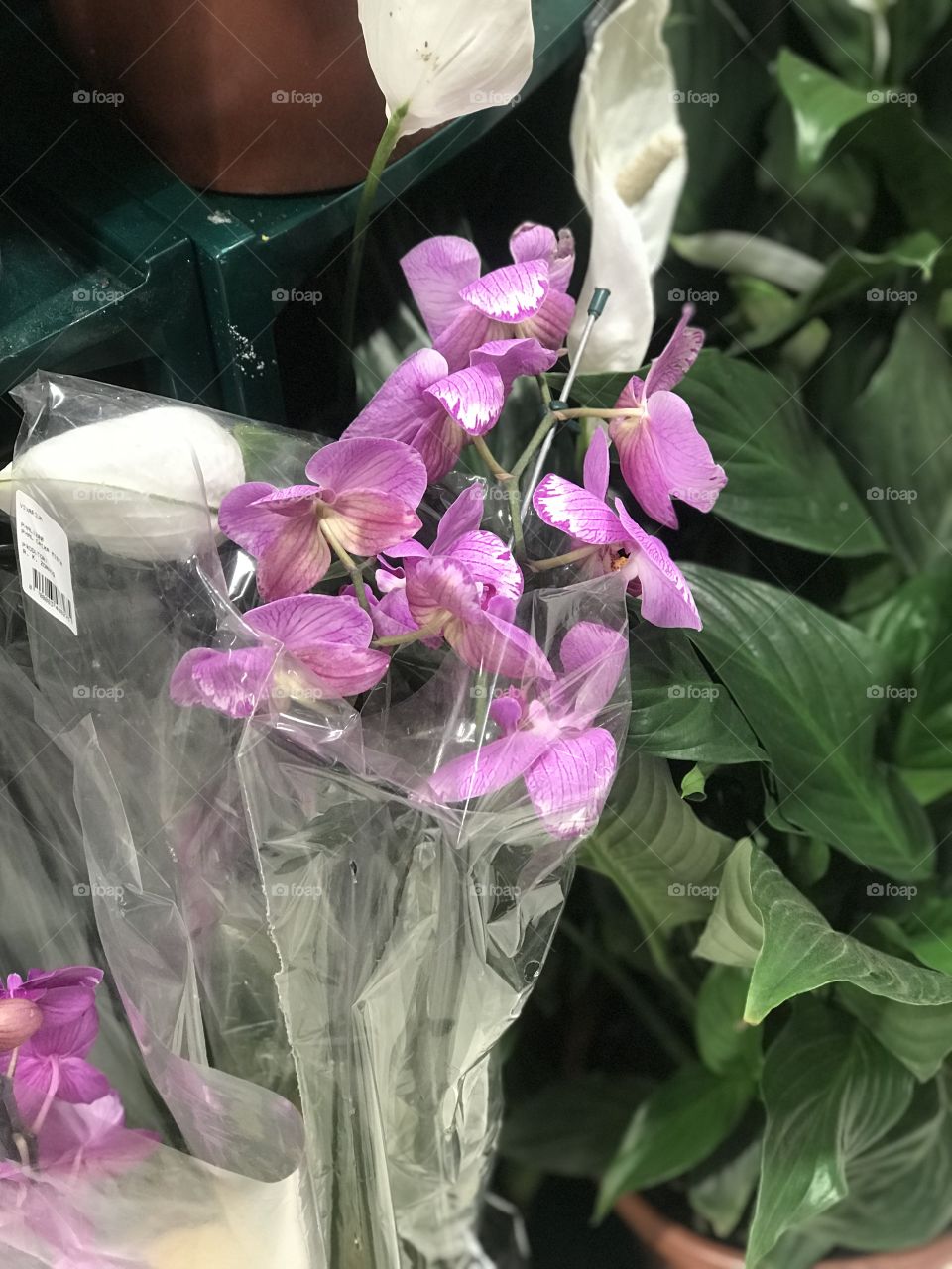 A beautiful day inside shopping extra in São Paulo-Brazil