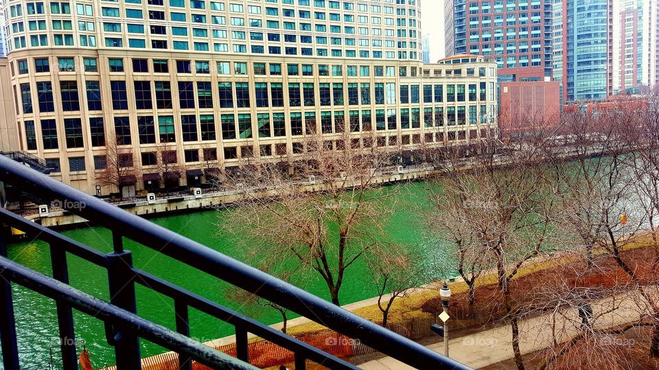 Chicago river dyed green for St. Patrick's day