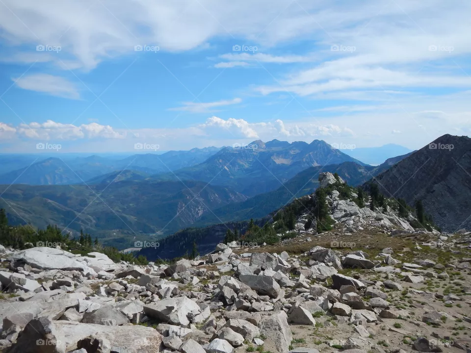timp 