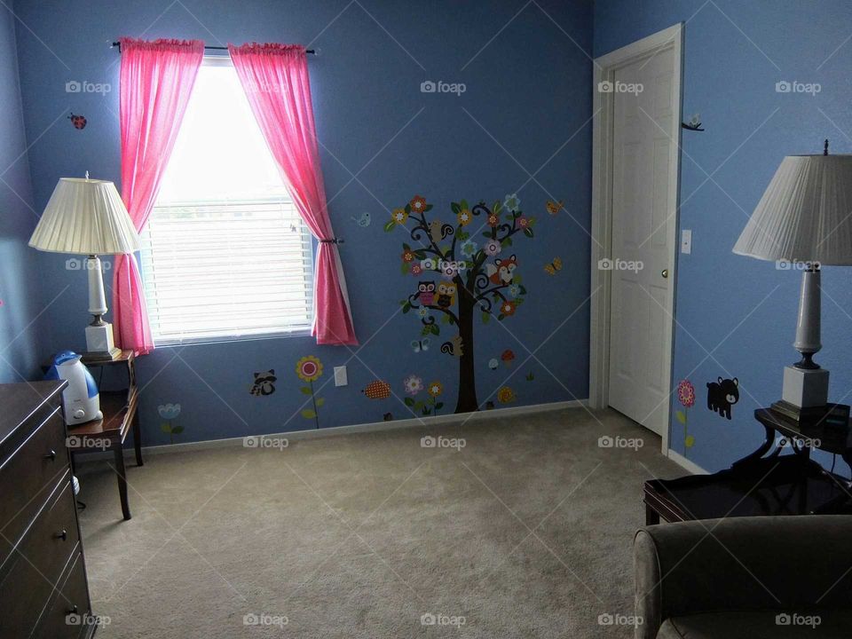 Baby girl room