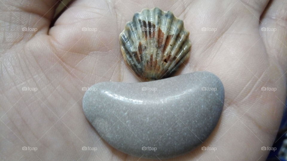 ракушки.камушки.дары моря.отпуск.отдых у моря.