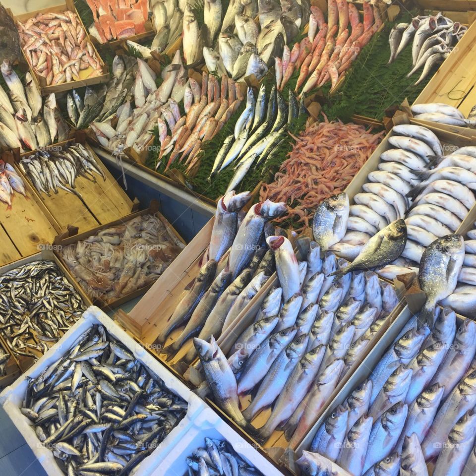 Getting Some fish. Fish market, Turkey🇹🇷 food
