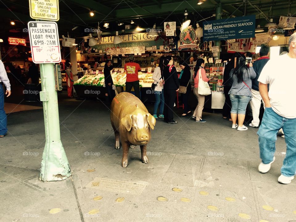 Market Pig