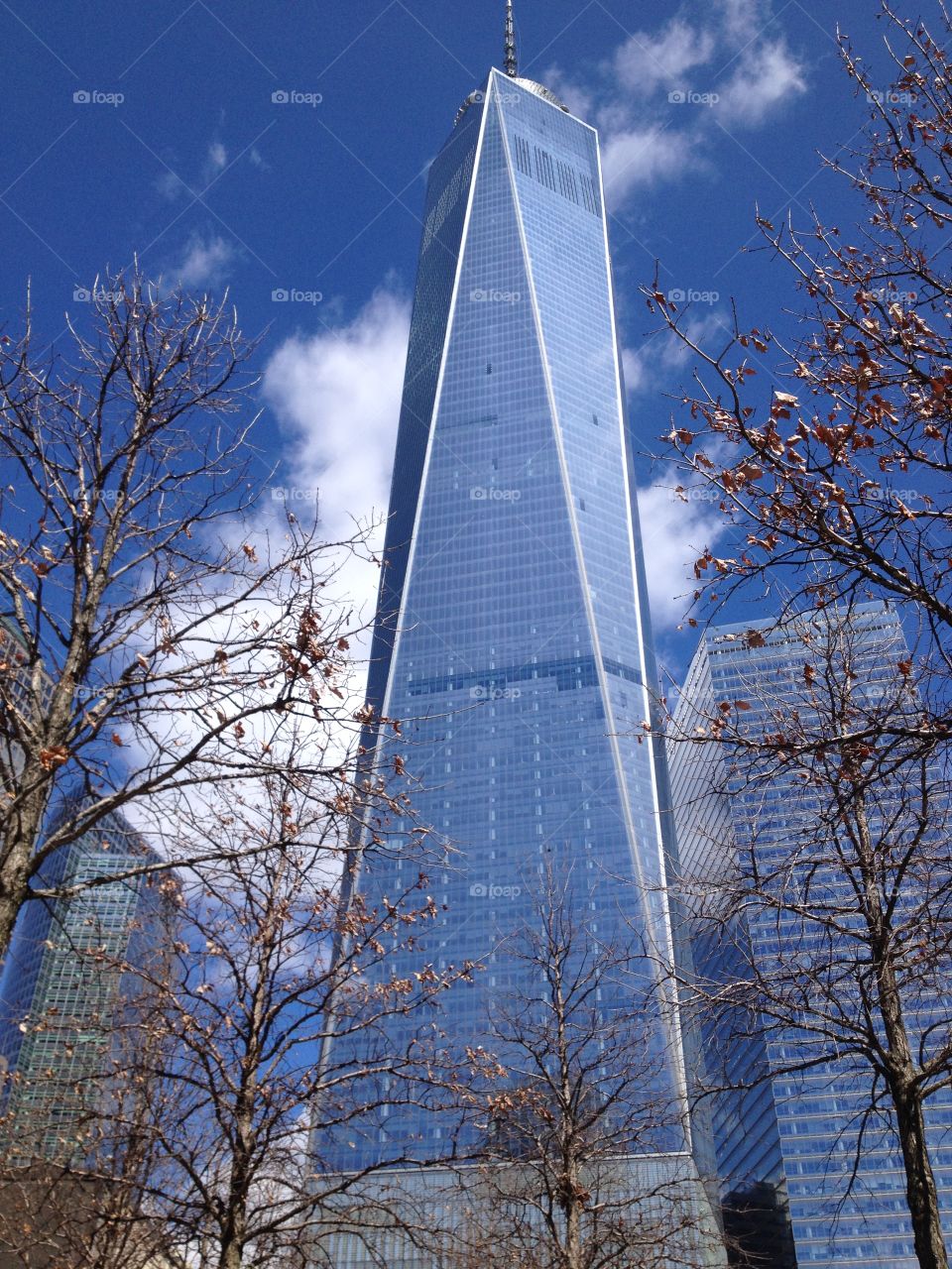 Freedom tower 