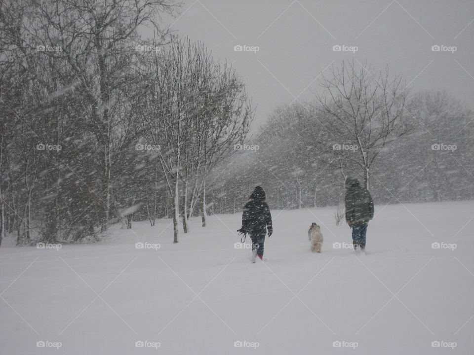 Two people walking dog in snowy weather