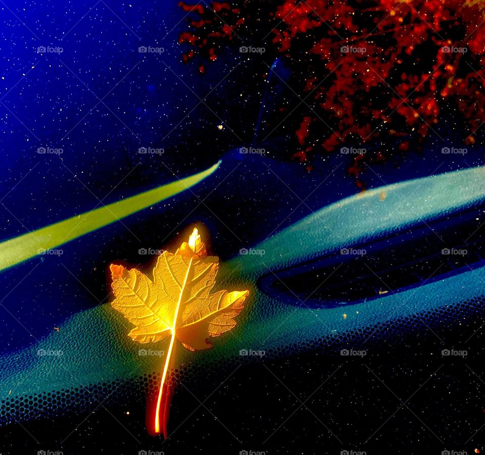 Golden leaf 