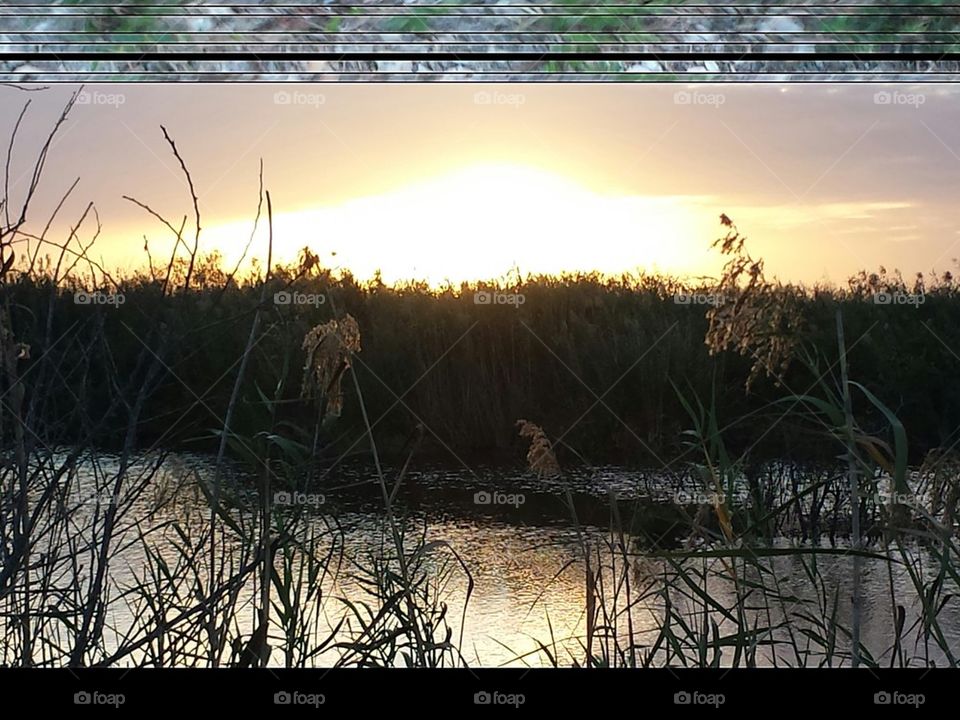 Florida Everglades