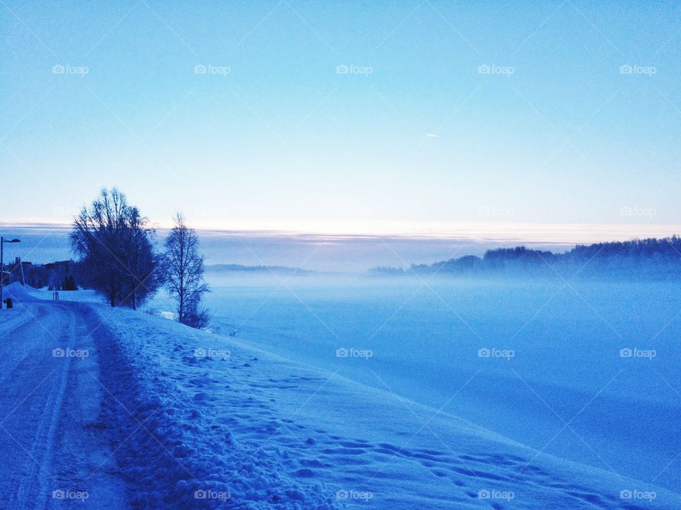 Winter, Snow, Landscape, Cold, Frost