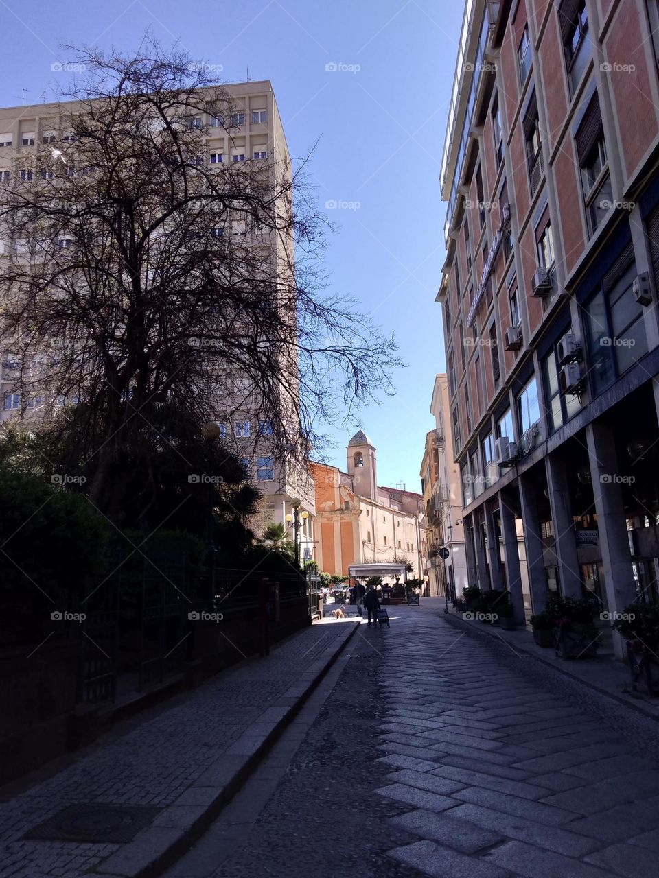 Editors' Choice: Photo of the Week