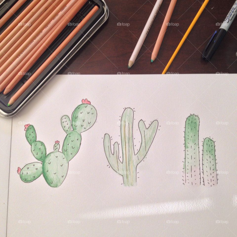 Cacti art 