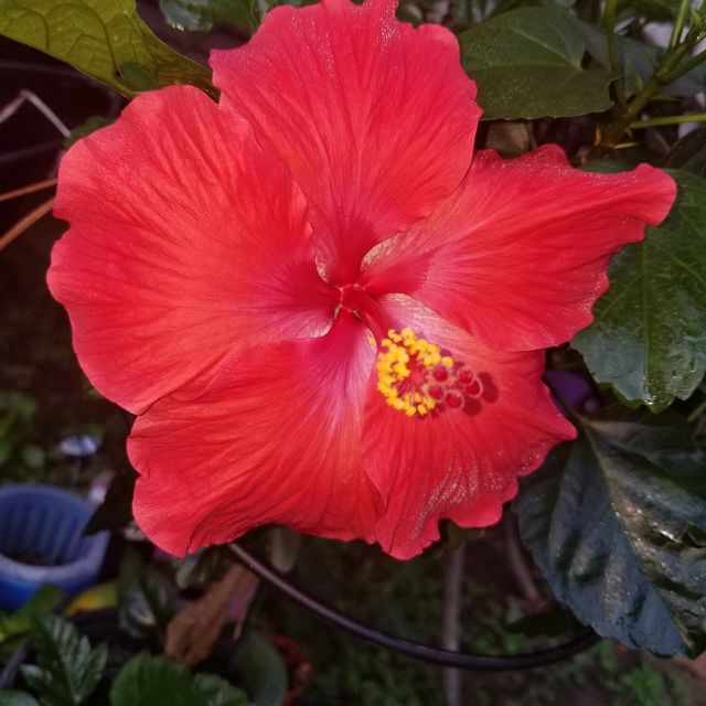Nature's Beauty