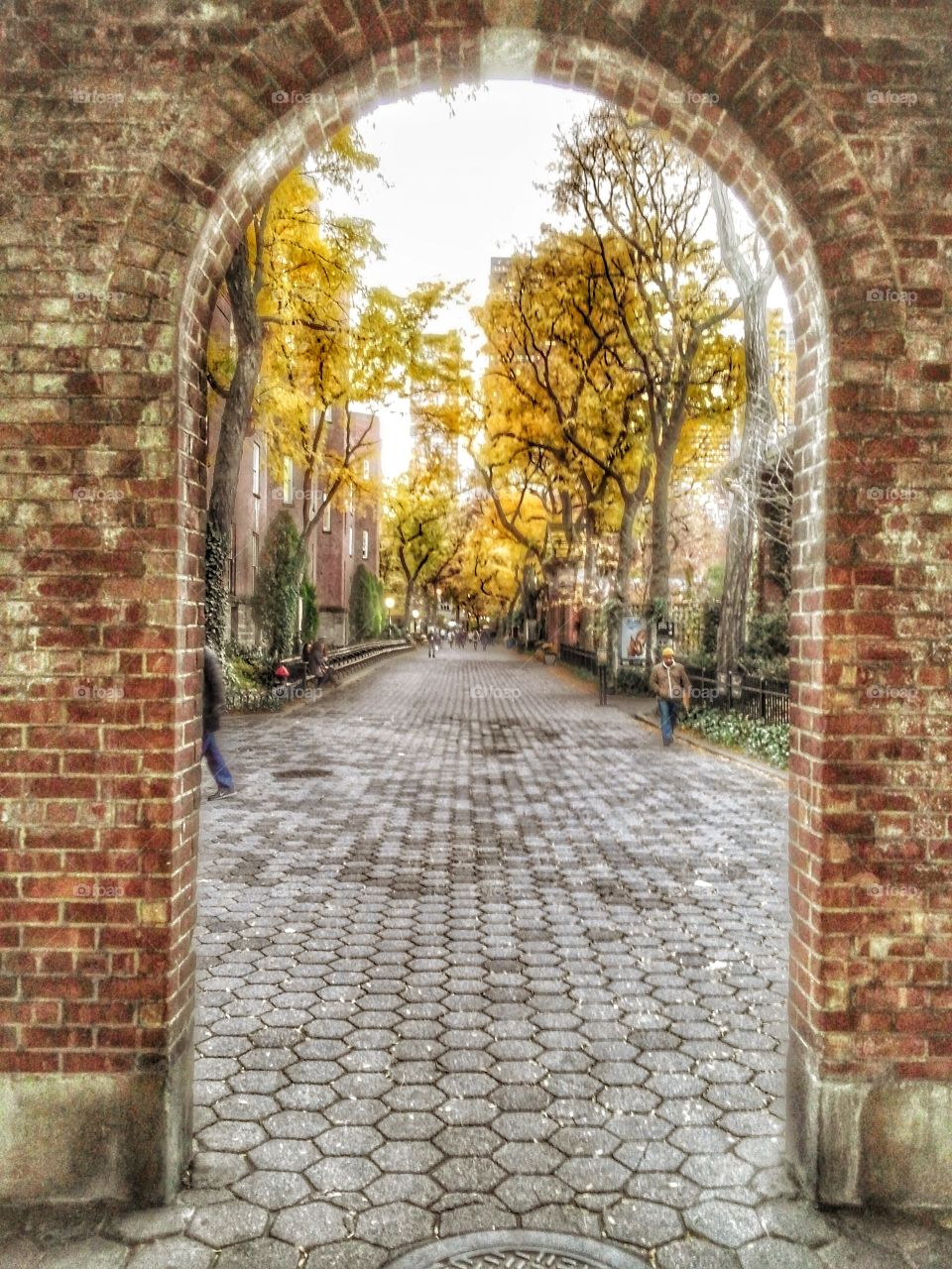 cobblestone walkway in Central Park, New York City