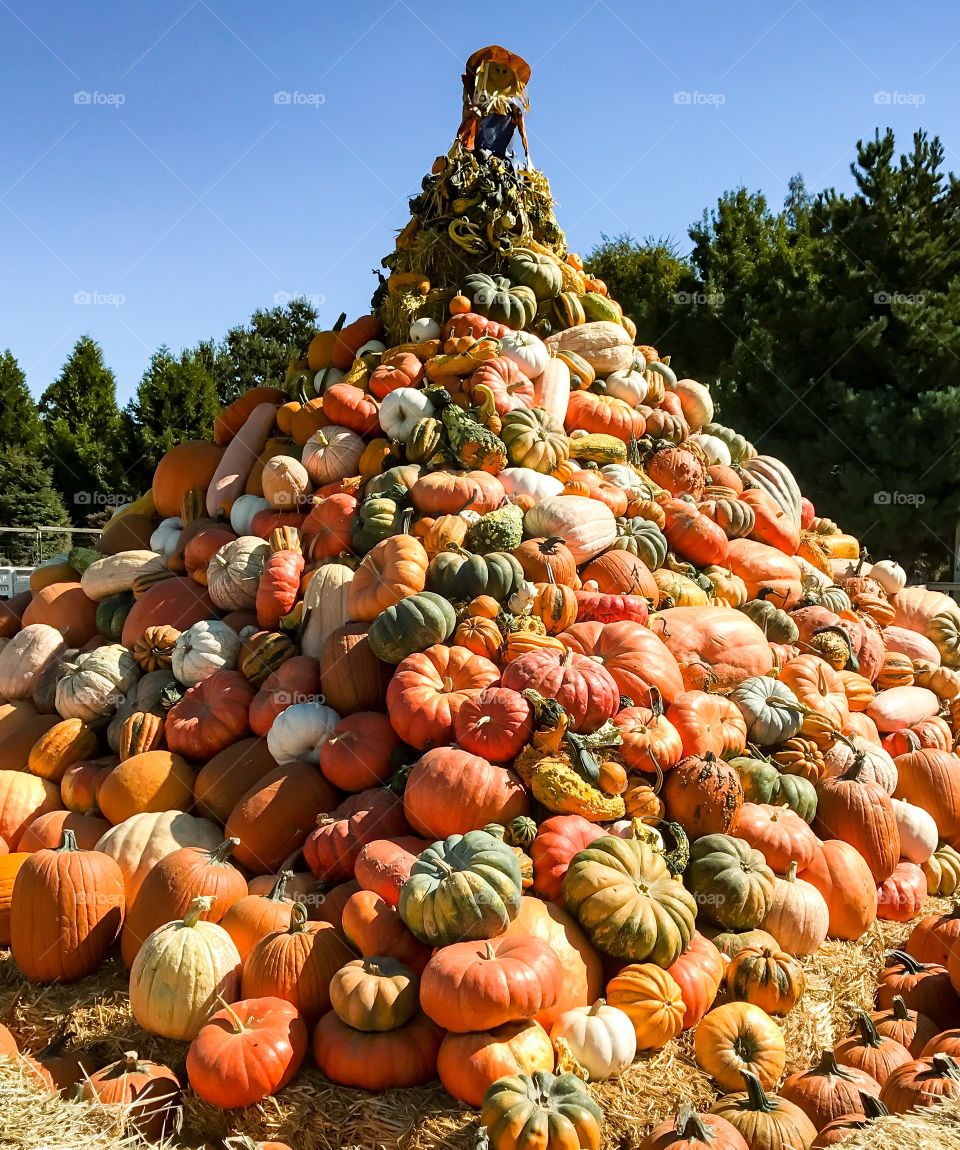 Pumpkin Pyramid
