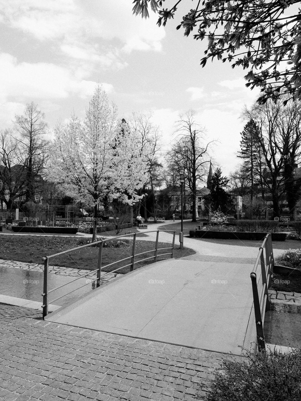 Day in the monochrome park