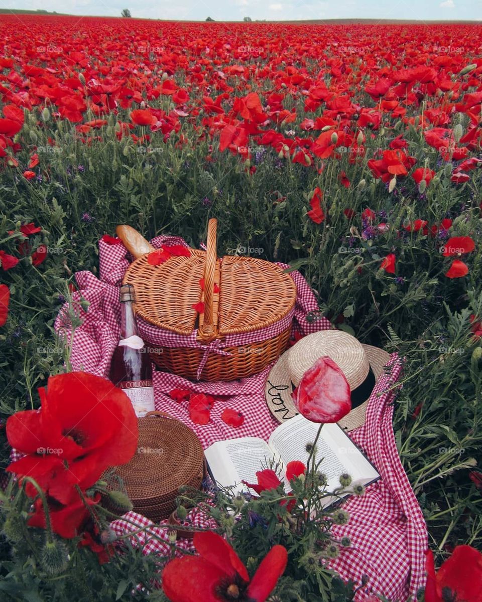 urban nature, nice picnic, beautiful picnic party