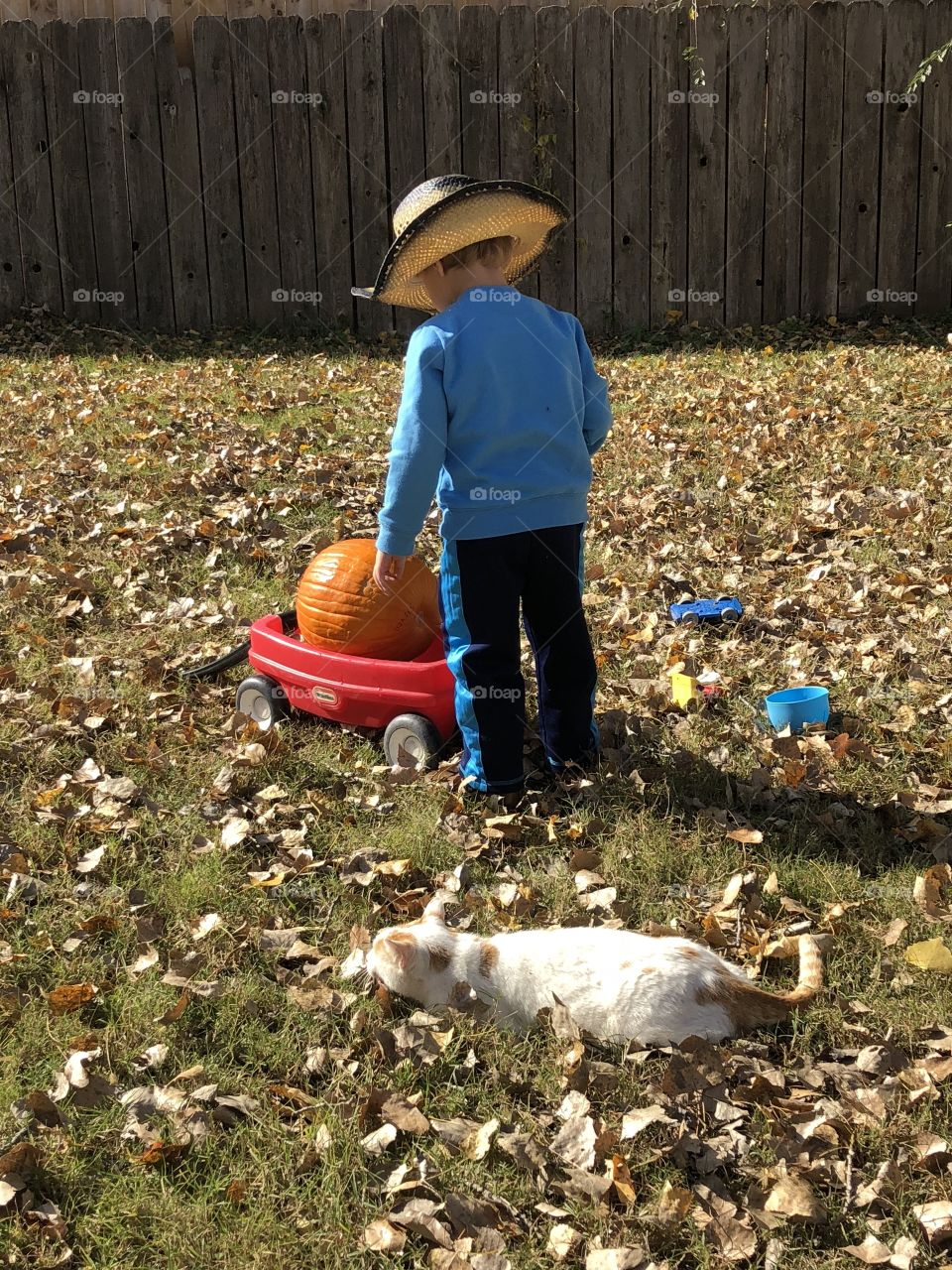 Little cowboy and a cat play on a fall day