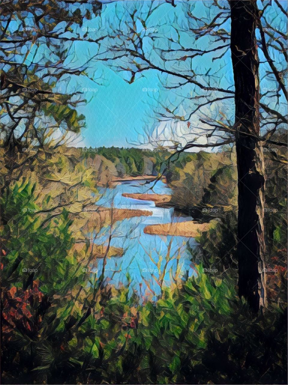 Cape Cod river woodlands