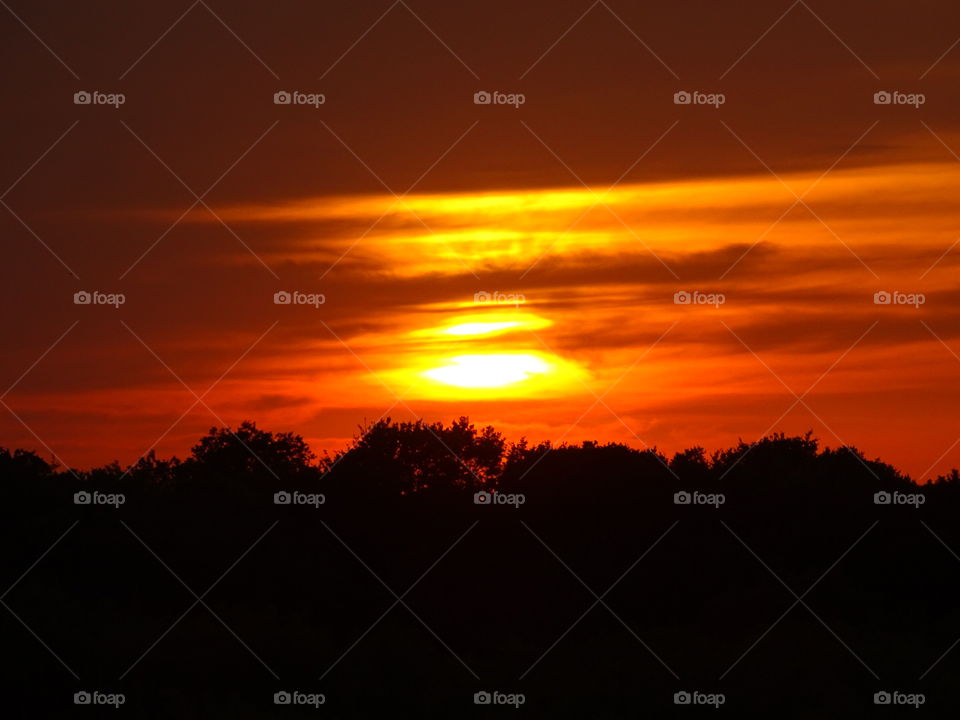 A gorgeous sunset in the heat of summer with silhouettes of trees.