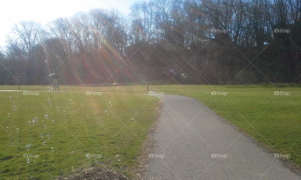 bubbles in park floating by trees path in sun's rays