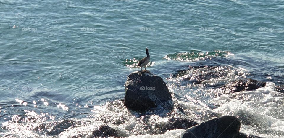 mediterraneo y su naturaleza