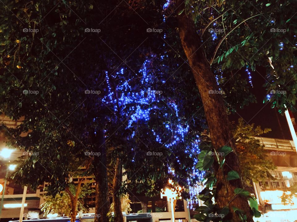 It looked like the trees were lungs and the light was a heart. 