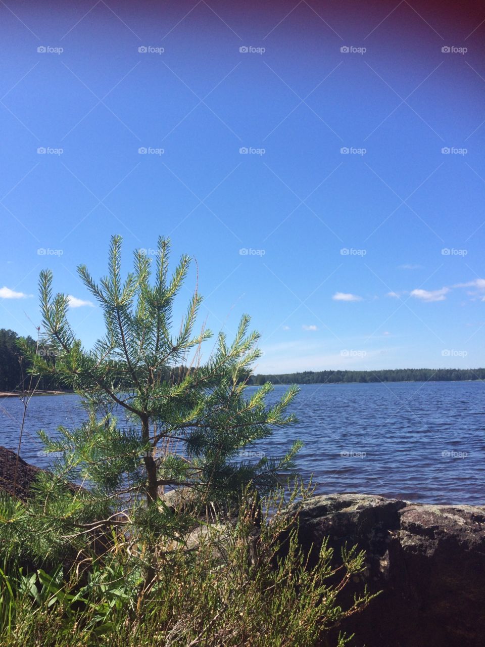 Midsummerday in Sweden 2016