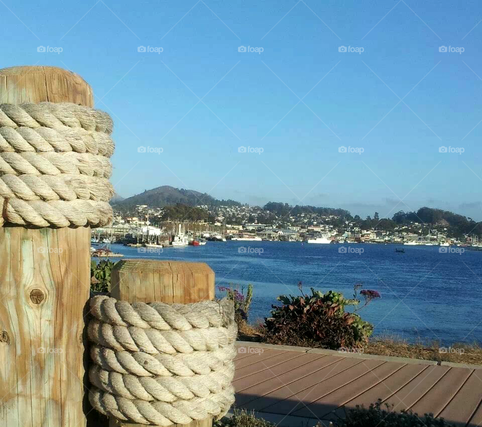 Morro Bay harbor