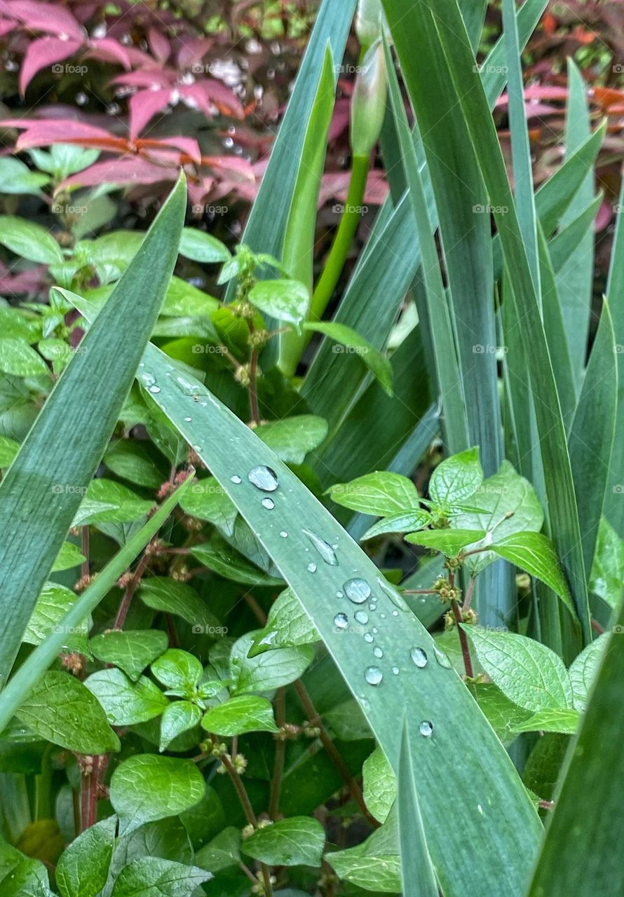 Each drop is equal to itself.