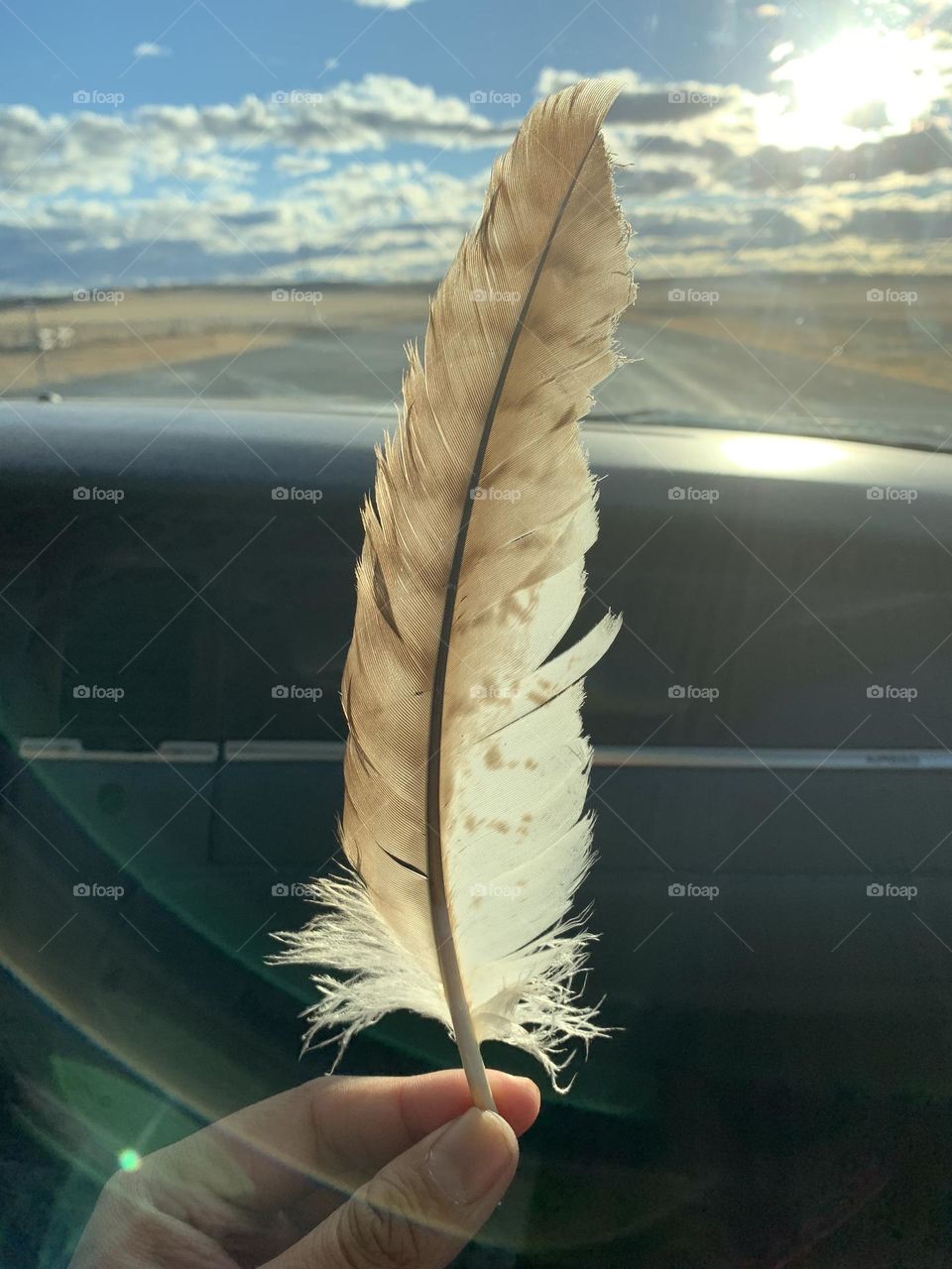 Eagle feather found by a Lakota man