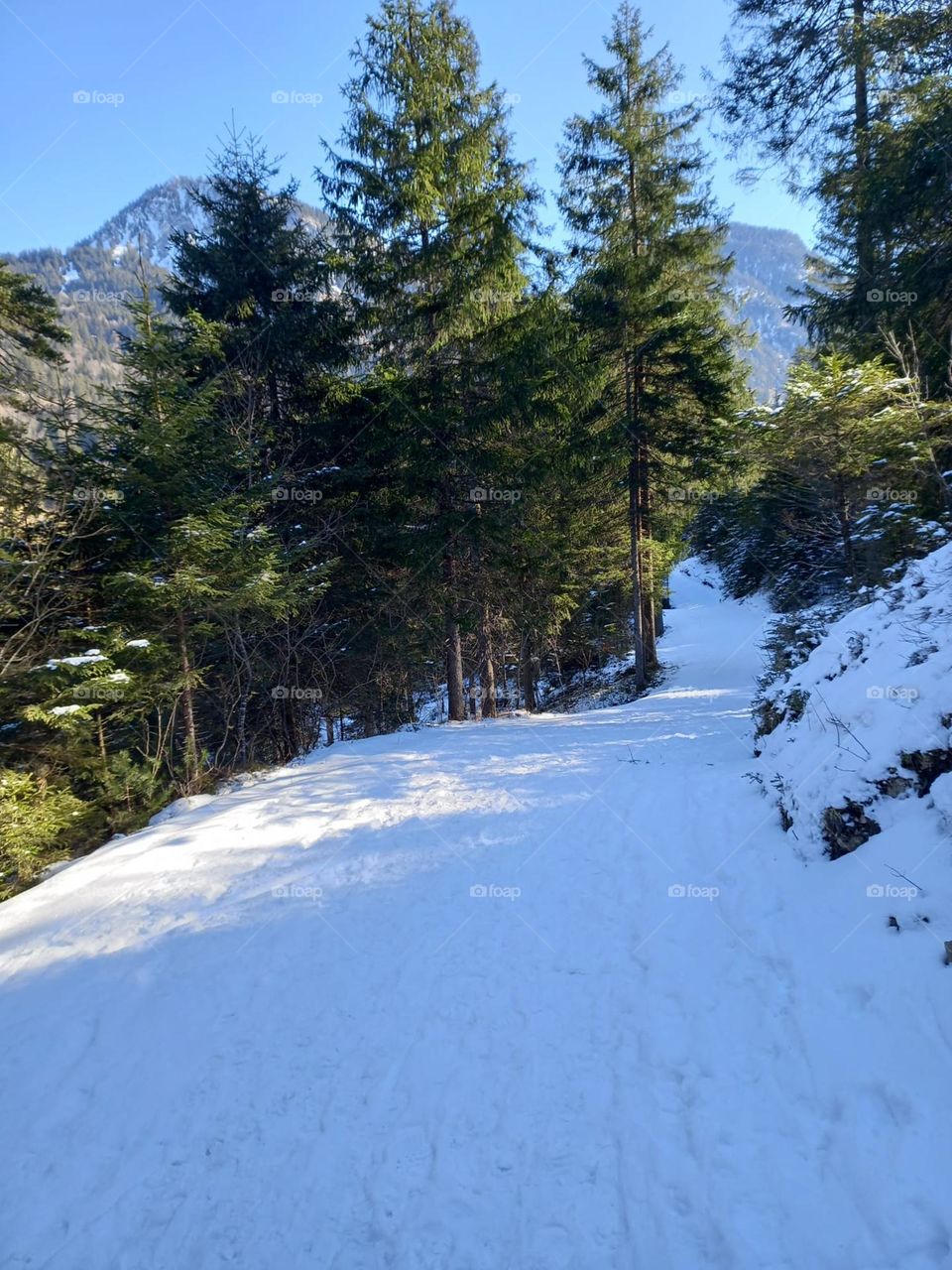 Mountain Trail in the Snow