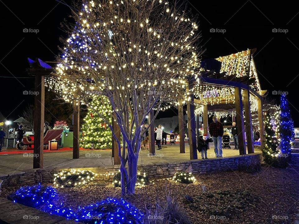 Christmas light display 