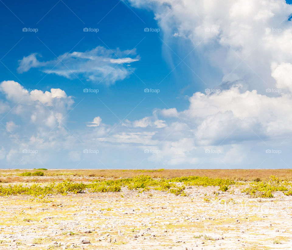 Travel around the world