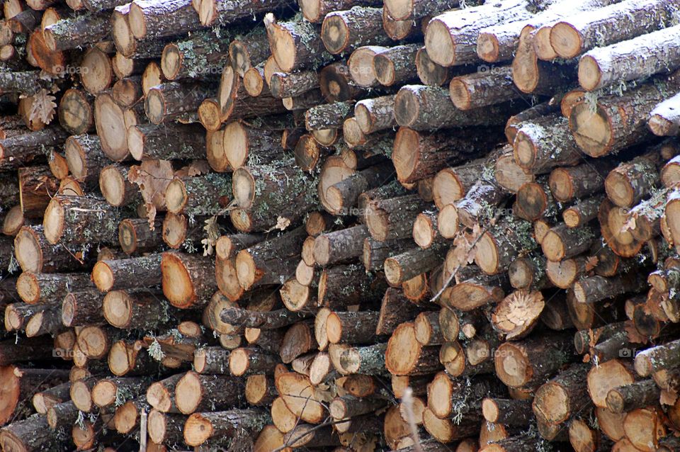 Firewood. Full frame 