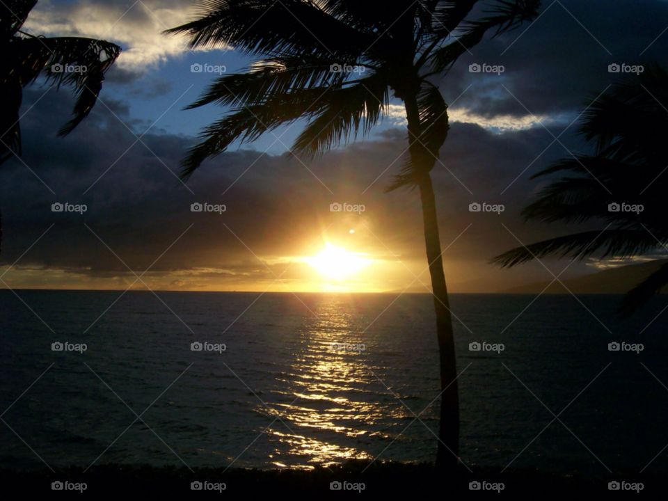 beach ocean sunset palm tree by SmileItsJo